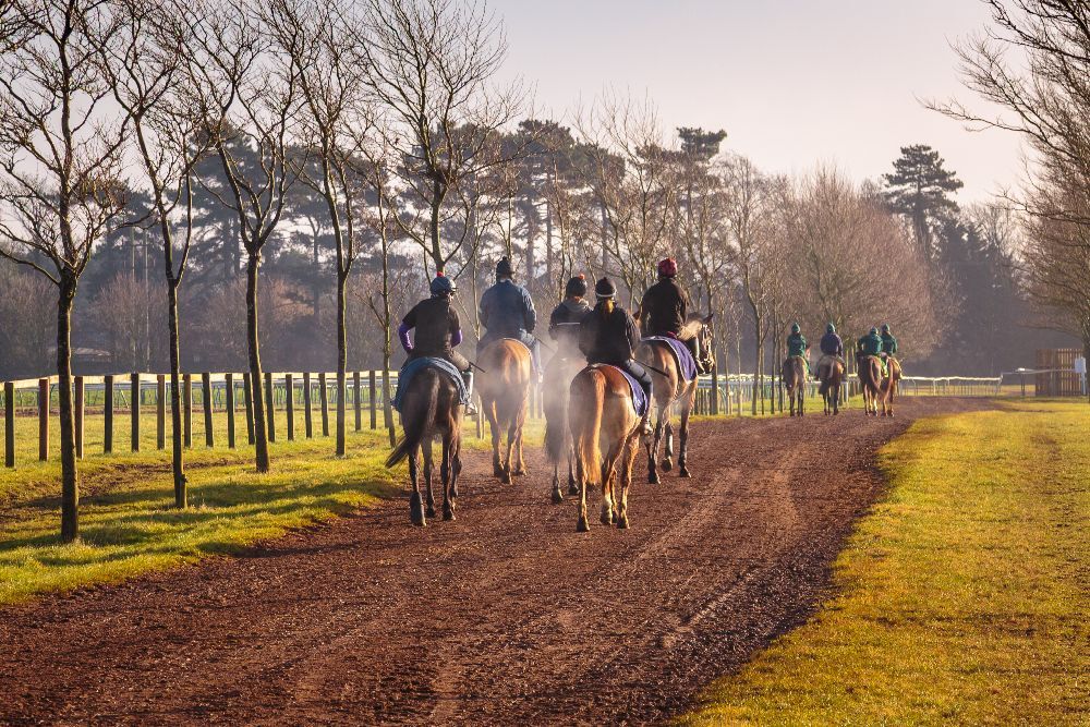 Horse Racing～From the United Kingdom