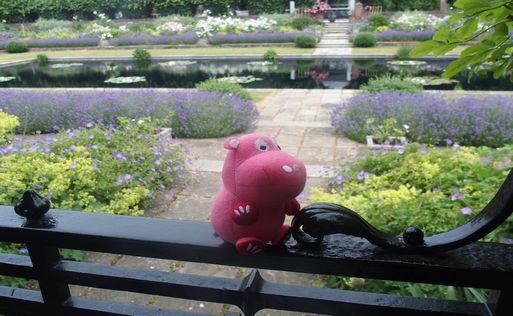 Sunken Garden~From the United Kingdom