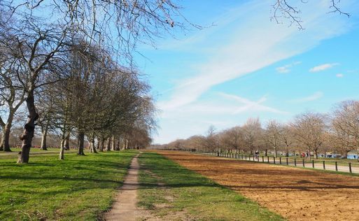 Hyde Park~From the United Kingdom